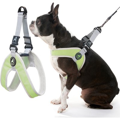 Gooby Gooby Simple Step In III Dog Harness, Green, Medium: 16.75 to 21.5-in chest