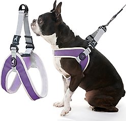 Gooby Simple Step In III Dog Harness, Purple, Medium: 16.75 to 21.5-in chest