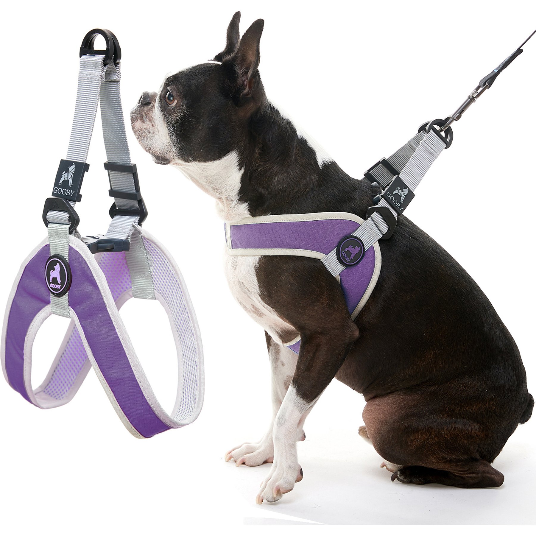 Gooby Simple Step In III Dog Harness, Purple, X-Small: 12 to 14.75-in chest
