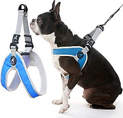Gooby Simple Step In III Dog Harness, Blue, Medium: 16.75 to 21.5-in chest
