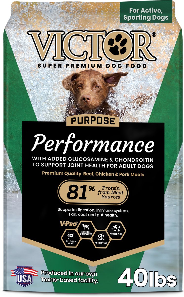 Dog Food for Joint Health: Boost Mobility Naturally