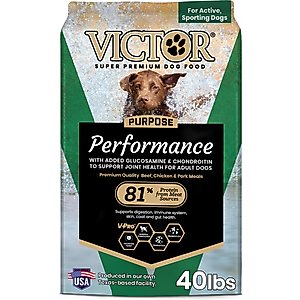 Iams Minichunks High-Protein with Real Lamb Dry Dog Food