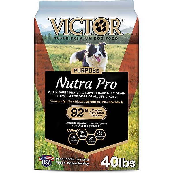 Victor - Brandclub - VICTOR Gluten-Free Ocean Fish Formula with Salmon  Omega-3 Enriched Dry Dog Food