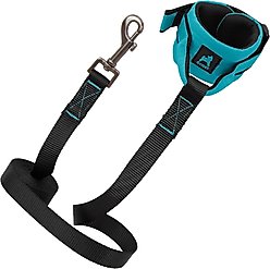 Gooby Ripstop Wrist Band Nylon Dog Leash, 6-ft long, 1.5-in wide, Turquoise