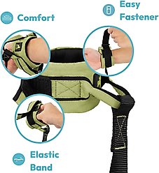 Gooby Ripstop Wrist Band Nylon Dog Leash, 6-ft long, 1.5-in wide, Turquoise slide 2 of 4