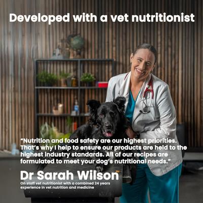 Show full view: The Pets Table Salmon & Whitefish with Pumpkin Grain-Free Air-Dried Dog Food, 16-oz bag slide 6 of 9