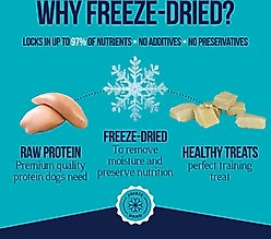 Stewart Chicken Breast Single Ingredient Freeze-Dried Dog Treats, 2.5-oz pouch slide 2 of 8