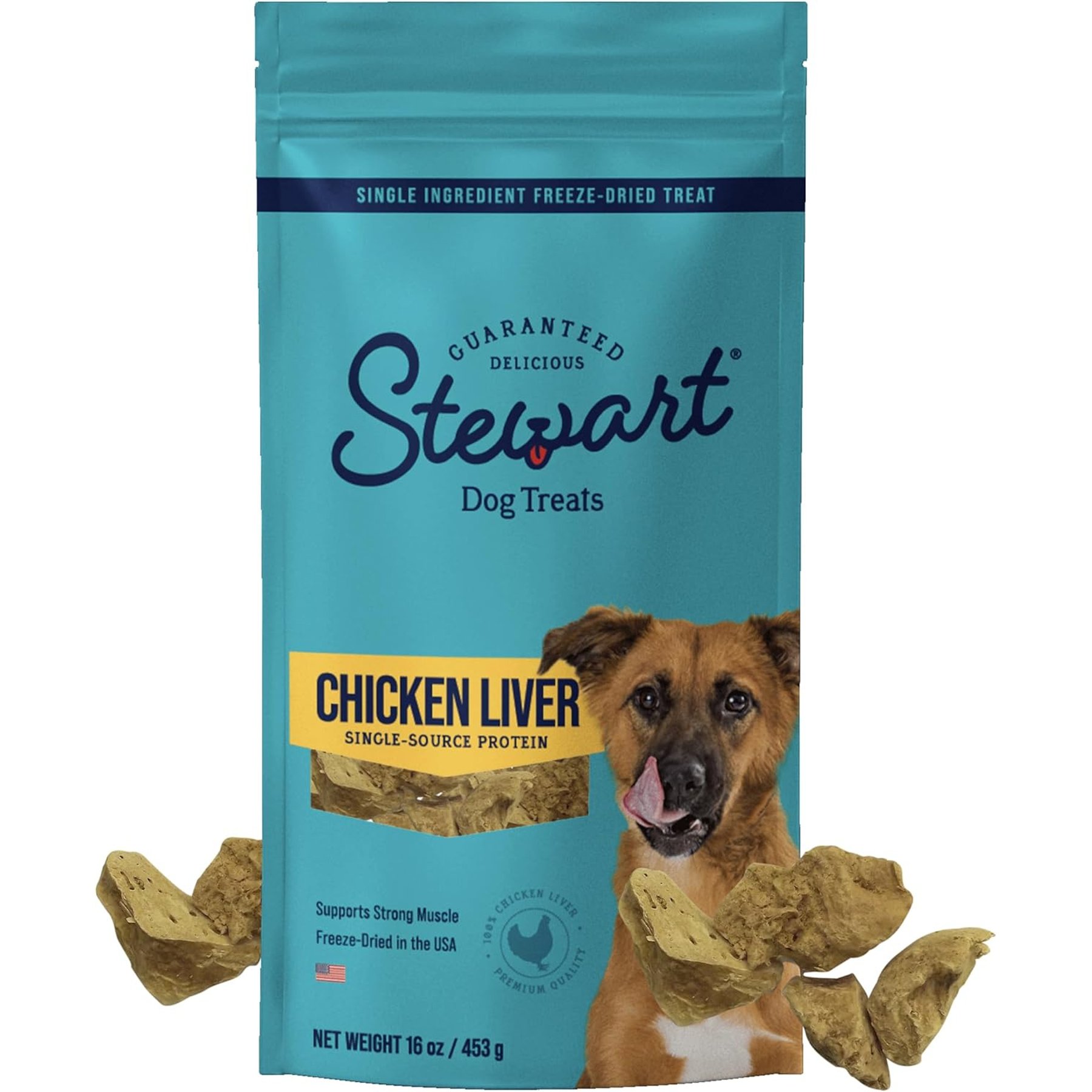 Stewart Chicken Liver Single Ingredient Freeze-Dried Raw Dog Treats, 16-oz bag