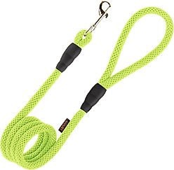 Gooby Soft Mesh Polyester Dog Leash, 4-ft long, 1.5-in wide, Green