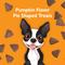 Show in main carousel: Bil-Jac Dessert Jacs Pumpkin Flavored Dog Treats, 10-oz bag slide 7 of 9