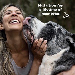 Bil-Jac Large Breed Adult Chicken Recipe Dry Dog Food, 30-lb bag