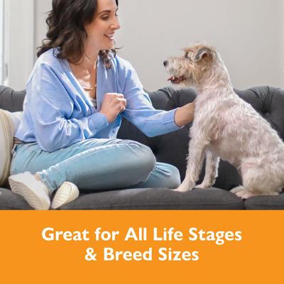 Show full view: Bil-Jac Dessert Jacs Pumpkin Flavored Dog Treats, 10-oz bag slide 6 of 9