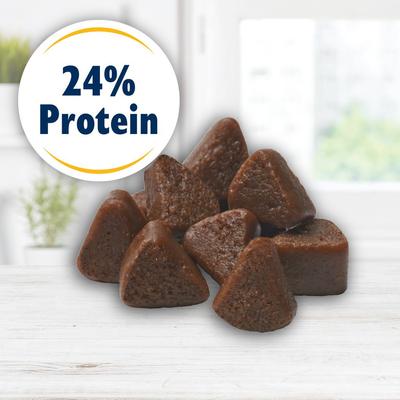 Show full view: Bil-Jac Dessert Jacs Pumpkin Flavored Dog Treats, 10-oz bag slide 5 of 9