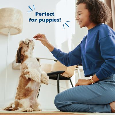 Show full view: Bil-Jac Original Recipe with Liver Soft Dog Treats, 20-oz bag slide 7 of 12