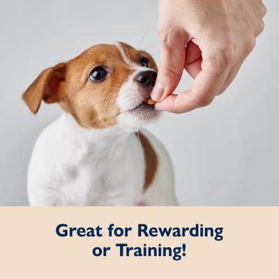 Show full view: Bil-Jac Chicken & Sweet Potato Grain-Free Training Dog Treats, 10-oz bag slide 7 of 9