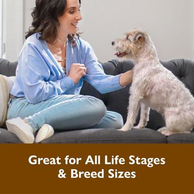 Show full view: Bil-Jac Breakfast Jacs Egg & Cheese Flavor Dog Treats, 4-oz bag slide 5 of 9