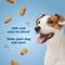 Show in main carousel: Bil-Jac Gooberlicious Peanut Butter Flavor Soft Dog Treats, 10-oz bag slide 4 of 11