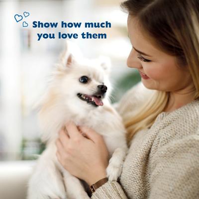 Show full view: Bil-Jac Gooberlicious Peanut Butter Flavor Soft Dog Treats, 10-oz bag slide 6 of 11