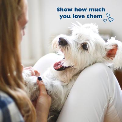 Show full view: Bil-Jac PBnanas Peanut Butter & Banana Flavor Soft Dog Treats, 10-oz bag slide 6 of 12