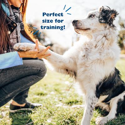 Show full view: Bil-Jac PBnanas Peanut Butter & Banana Flavor Soft Dog Treats, 10-oz bag slide 7 of 12