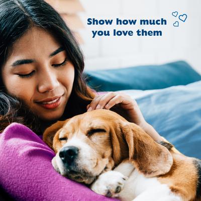 Show full view: Bil-Jac Little-Jacs Small Dog Chicken Liver Training Dog Treats, 16-oz bag slide 6 of 12