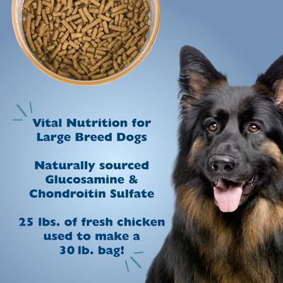 Show full view: Bil-Jac Large Breed Adult Chicken Recipe Dry Dog Food, 30-lb bag slide 4 of 12