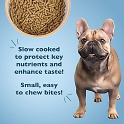 Bil-Jac Small Breed Adult Chicken, Oatmeal & Yams Recipe Dry Dog Food, 6-lb bag slide 2 of 7