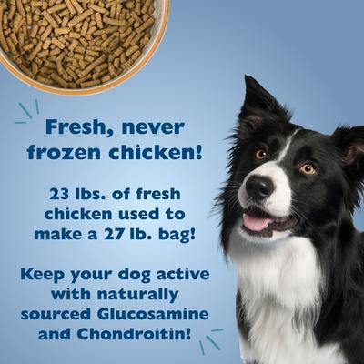 Show full view: Bil-Jac Picky No More Medium & Large Breed Chicken Liver Recipe Dry Dog Food, 27-lb bag slide 4 of 12