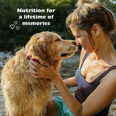 Show full view: Bil-Jac Picky No More Medium & Large Breed Chicken Liver Recipe Dry Dog Food, 27-lb bag slide 6 of 12