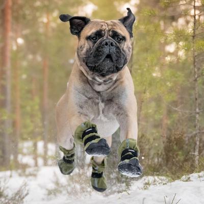 Show full view: FinNero Halla Reflective Soft Fleece Dog Booties, Green, X-Large slide 3 of 7