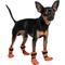 Show in main carousel: FinNero Halla Reflective Soft Fleece Dog Booties, Orange, Medium slide 1 of 6