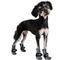 Show in main carousel: FinNero Halla Reflective Soft Fleece Dog Booties, Grey, Small slide 1 of 8
