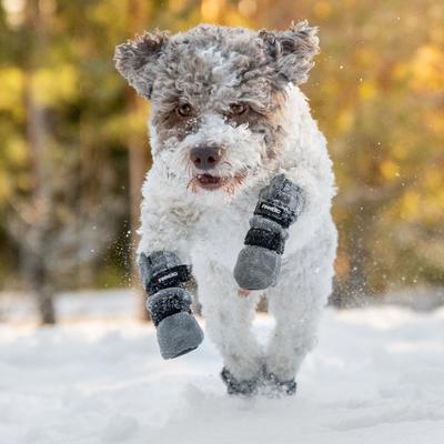 Show full view: FinNero Halla Reflective Soft Fleece Dog Booties, Grey, Small slide 4 of 8