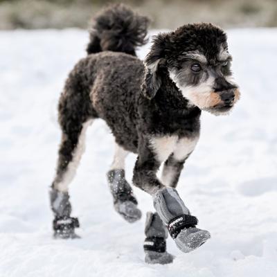 Show full view: FinNero Halla Reflective Soft Fleece Dog Booties, Grey, X-Small slide 3 of 7