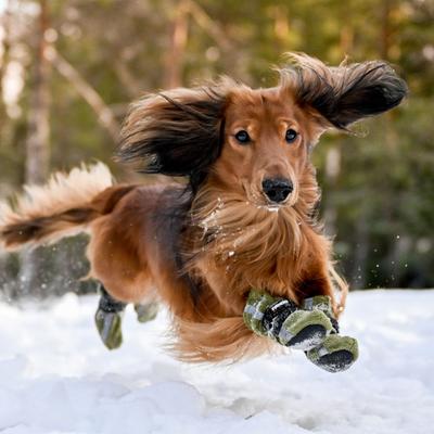 Show full view: FinNero Halla Reflective Soft Fleece Dog Booties, Green, Small slide 3 of 7