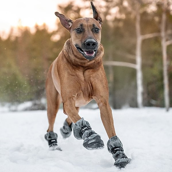 Show full view: FinNero Halla Reflective Soft Fleece Dog Booties, Grey, X-Large slide 3 of 7