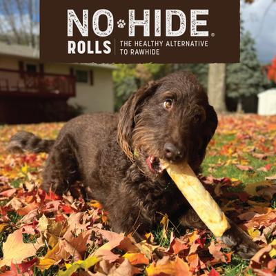 Show full view: Earth Animal No-Hide Seasonal Rolls Pumpkin Spice Recipe Large Natural Rawhide Alternative Dog Chew slide 7 of 10