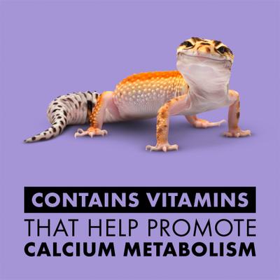 Show full view: Zilla Vitamin Supplement with Beta Carotene Reptile Food Spray, 8-oz bottle slide 4 of 10