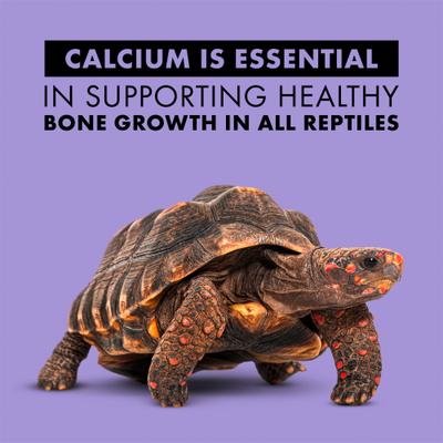 Show full view: Zilla Food Spray Calcium Reptile Supplement, 8-oz bottle slide 4 of 11