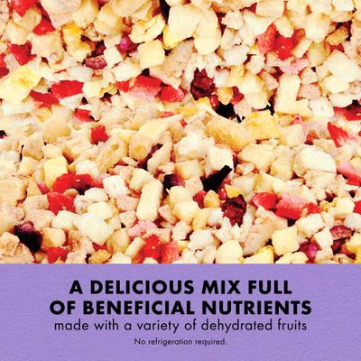 Show full view: Zilla Reptile Munchies Fruit Mix Reptile Food, 2.5-oz bag slide 3 of 11