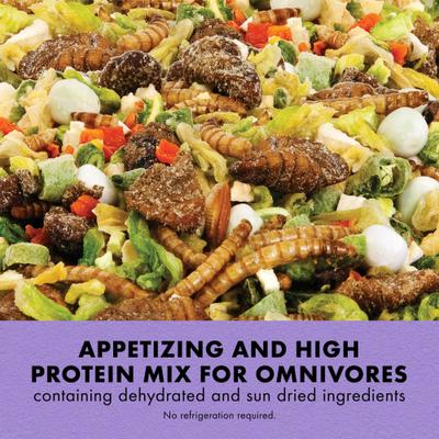 Show full view: Zilla Reptile Munchies Omnivore Mix Lizard Food, 4-oz bag slide 3 of 12