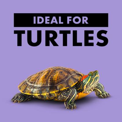 Show full view: Zilla Reptile Munchies River Shrimp Turtle Food, 2-oz bag slide 5 of 11