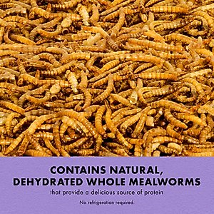 Zilla Reptile Munchies Mealworms Lizard Food, 3.75-oz bag
