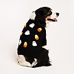 Show in main carousel: Found My Animal Candy Corn Dog Sweater, Large slide 3 of 5