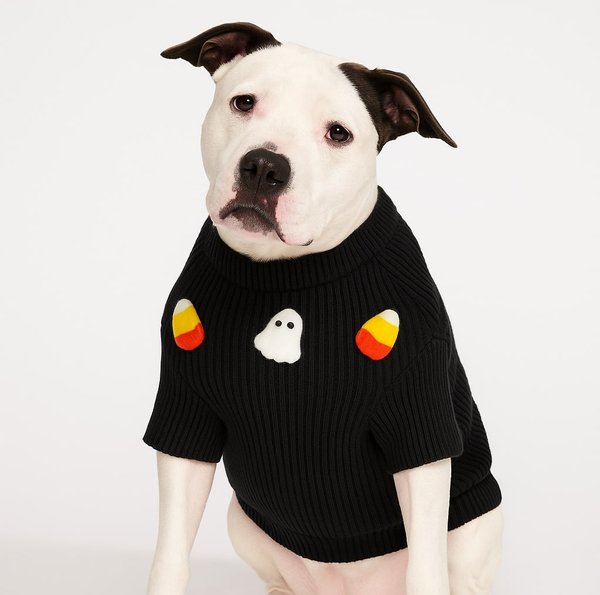 Show full view: Found My Animal Candy Corn Dog Sweater, Large slide 2 of 5