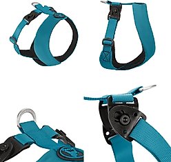 Gooby Comfort X Dual Snap Dog Harness, Turquoise, Large: 19 to 23.25-in chest slide 2 of 6
