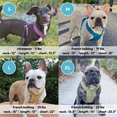 Show full view: Gooby Comfort X Dual Snap Dog Harness, Turquoise, Large: 19 to 23.25-in chest slide 6 of 6
