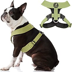 Gooby Comfort X Dual Snap Dog Harness, Green, Small: 13.5 to 16.75-in chest