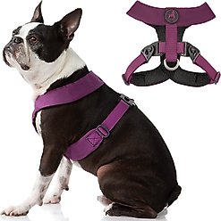 Gooby Comfort X Dual Snap Dog Harness, Purple, Large: 19 to 23.25-in chest