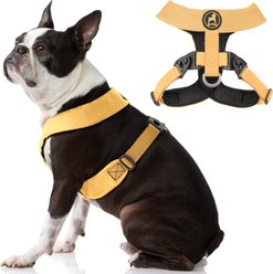 Gooby Comfort X Dual Snap Dog Harness, Yellow, Small: 13.5 to 16.75-in chest